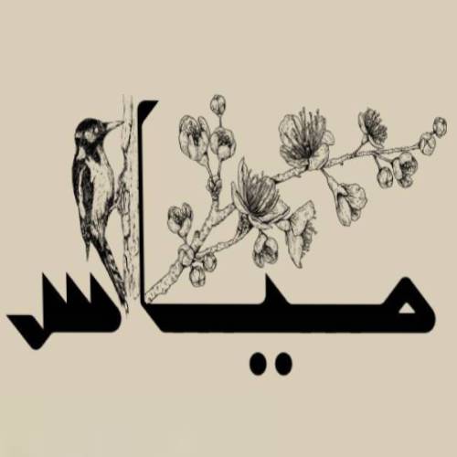 الإضافات