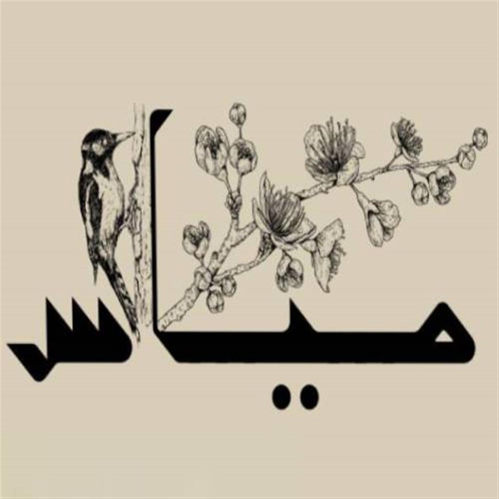 كولد فوم